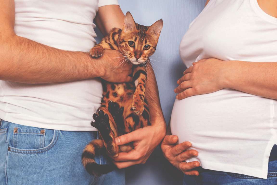 Toxoplasmosi e gravidanza c’è pericolo per le donne incinte? Clinica